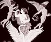 free pictures of stallion genitalia anatomy